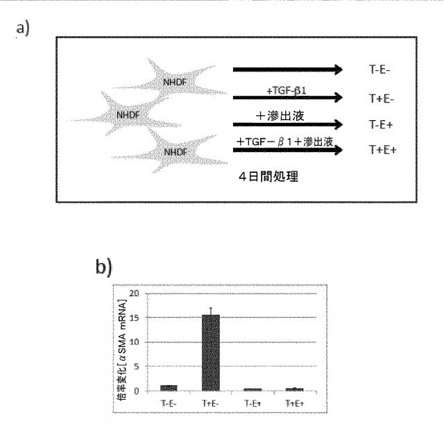 2019038847-創傷、特に慢性創傷の処置のための分子標的 図000002