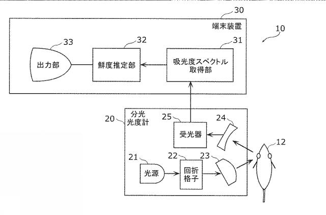 2015232543-魚の鮮度推定方法及び鮮度推定装置 図000003