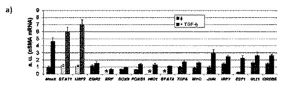 2019038847-創傷、特に慢性創傷の処置のための分子標的 図000003