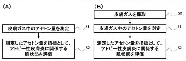 2019219256-アトピー性皮膚炎に関係する肌状態の評価方法 図000003