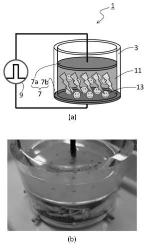 2020018296-寄生虫殺虫方法及び寄生虫殺虫システム 図000003