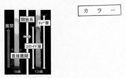 2020134499-疎水コロイドを用いた金属イオン濃度の簡易測定方法 図000003