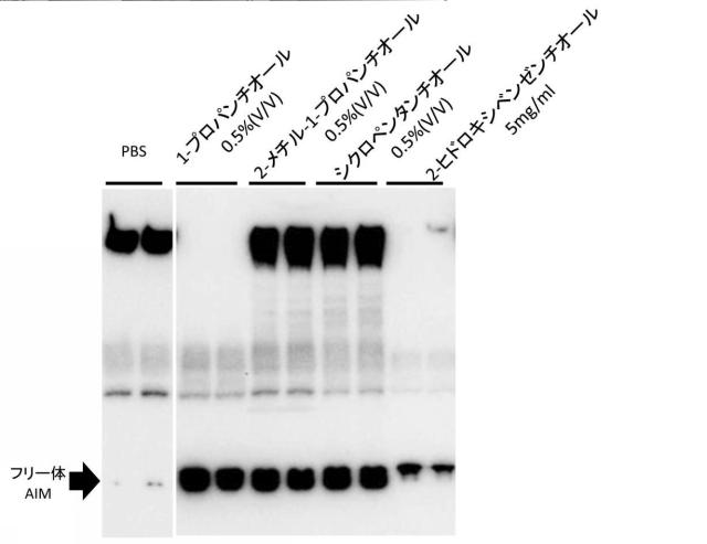 2021075545-血中フリー体ＡＩＭ増加用組成物 図000003