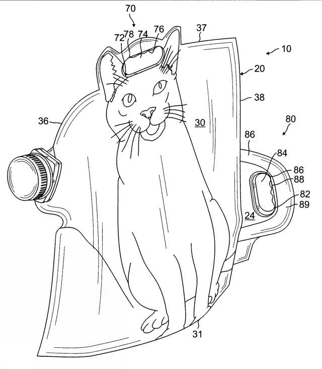 2017088241-二つのハンドル及び注ぎ口を備えた猫砂用容器 図000004