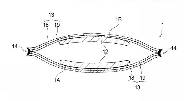 2017226116-シート融着体のシール縁部の検査方法 図000004