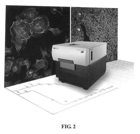 2019103508-癌細胞のハイスループットスクリーニングのためのシステムおよび方法 図000004