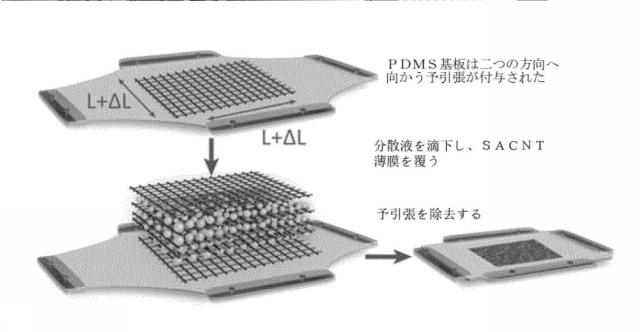 2020004706-引張り可能な複合電極及び引張り可能なリチウムイオン二次電池 図000004