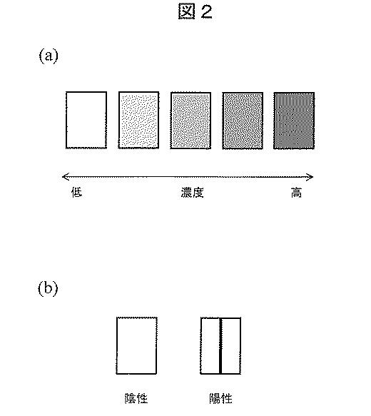 2020091185-分析装置及び分析方法 図000004