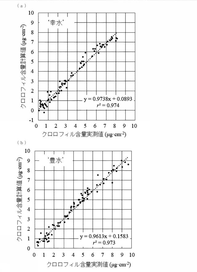 2021014991-クロロフィル含有量の測定方法及び果実の熟度判定方法 図000004