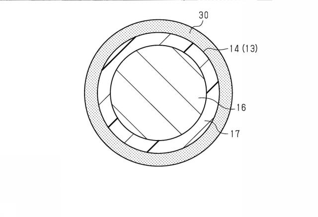 2021077529-端子付き電線 図000004