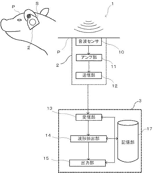 2021194355-生体信号抽出装置、生体信号抽出方法及びプログラム 図000004