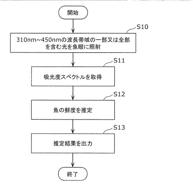 2015232543-魚の鮮度推定方法及び鮮度推定装置 図000005