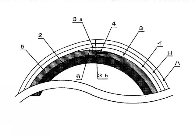 2016155619-ロール材料およびその製造方法 図000005