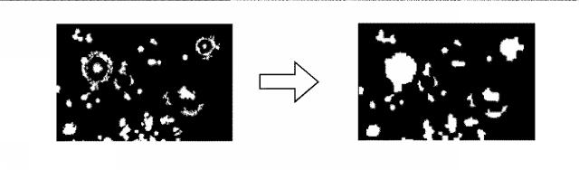 2016223931-蛍光画像の合焦システム、合焦方法および合焦プログラム 図000005