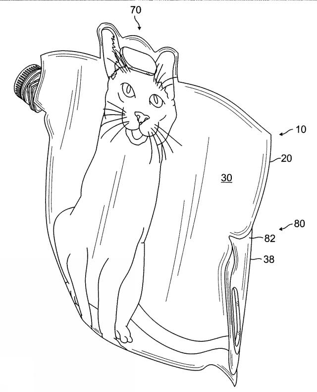 2017088241-二つのハンドル及び注ぎ口を備えた猫砂用容器 図000005