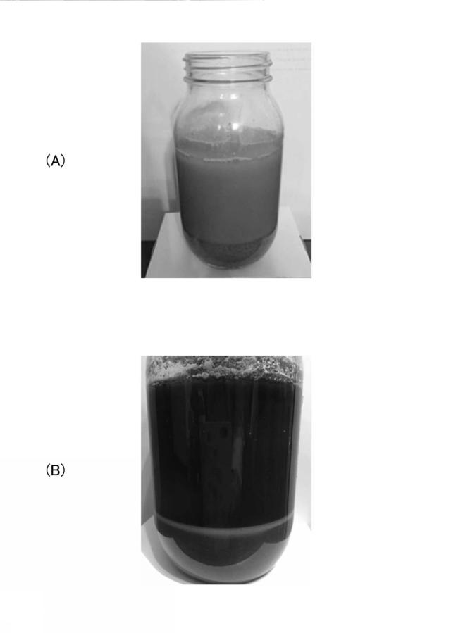 2017165960-庵治石中の成分の分離方法、庵治石を原料とする染色剤の製造方法、庵治石を原料に含むブルーライトカットガラス 図000005