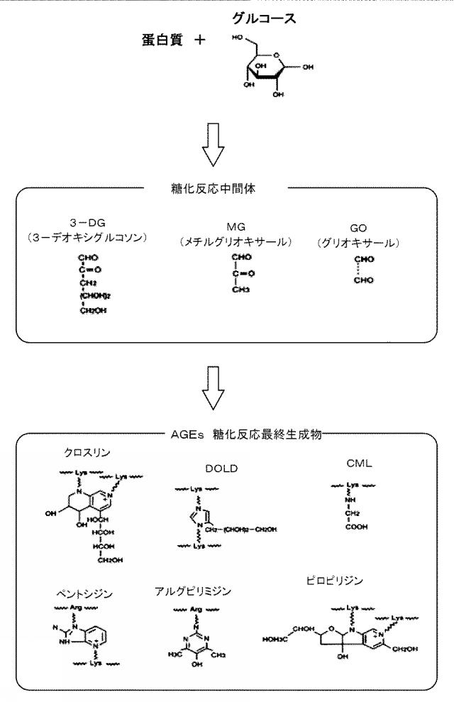 2018188375-ペントシジン生成阻害剤 図000005