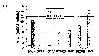 2019038847-創傷、特に慢性創傷の処置のための分子標的 図000005