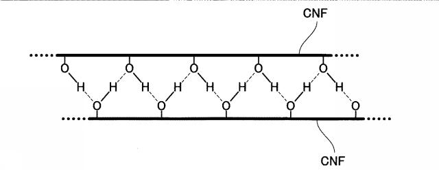 2021031800-セルロース多孔質体の製造装置およびセルロース多孔質体の製造方法 図000005