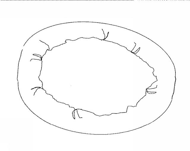 2015133914-ペット用ベッド 図000006