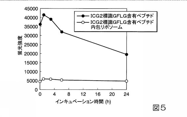 2015151349-蛍光標識用プローブ 図000006