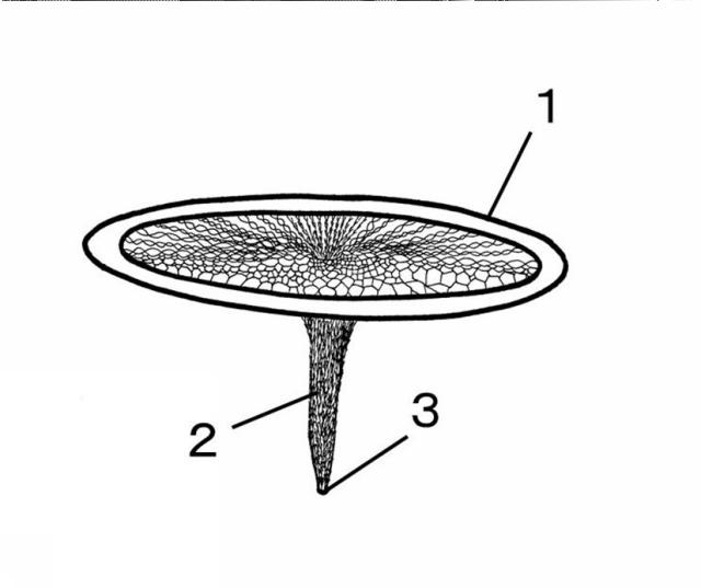 2016002363-カプセル型医療器具の捕捉方法およびその回収器具 図000006