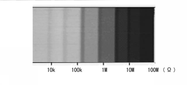2016188817-広がり抵抗測定方法及び広がり抵抗顕微鏡 図000006