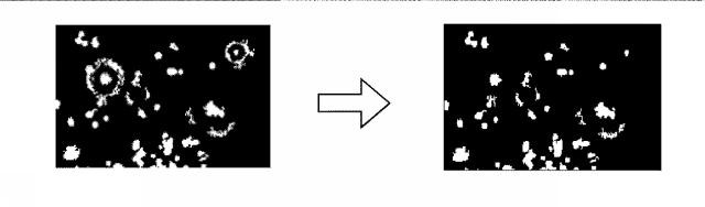 2016223931-蛍光画像の合焦システム、合焦方法および合焦プログラム 図000006