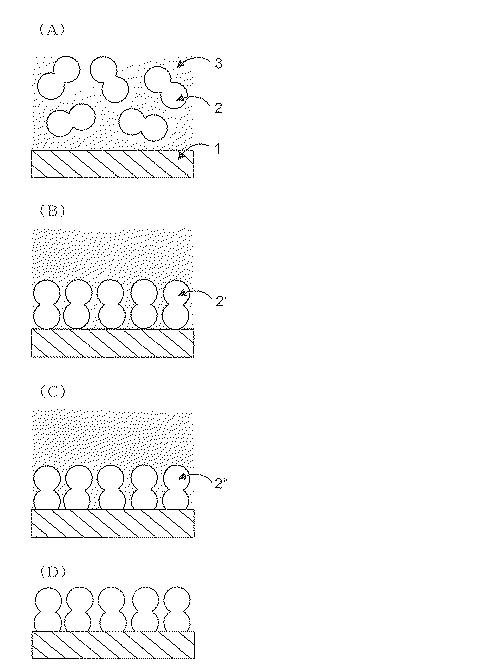 2017102409-微粒子配列膜の製造方法 図000006