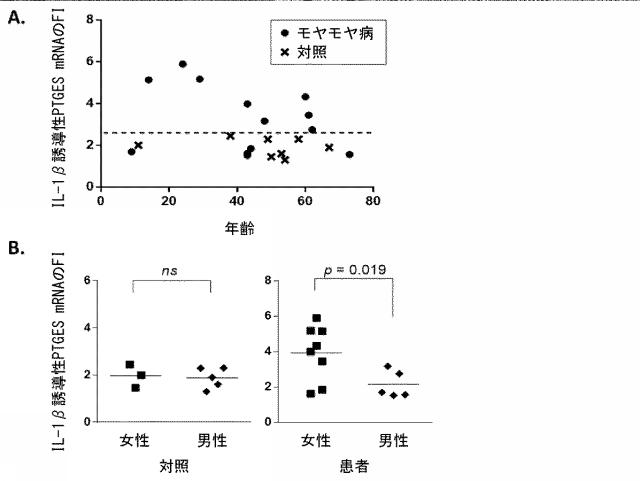 2017184739-モヤモヤ病の生体外診断検査 図000006