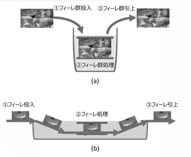 2020018296-寄生虫殺虫方法及び寄生虫殺虫システム 図000006