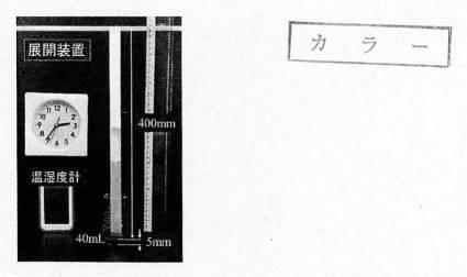 2020134499-疎水コロイドを用いた金属イオン濃度の簡易測定方法 図000006