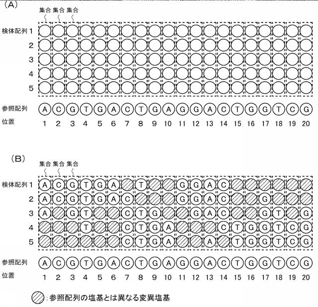 2020202810-集積集合データの製造装置、製造方法、プログラム、および記録媒体 図000006