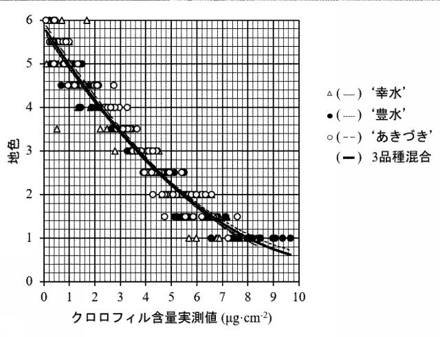 2021014991-クロロフィル含有量の測定方法及び果実の熟度判定方法 図000006