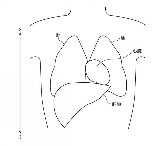 2019097820-磁気共鳴イメージング装置およびプログラム 図000007