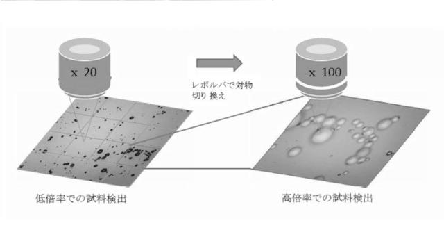 2020134227-位置補正機能を有する顕微分光装置 図000007