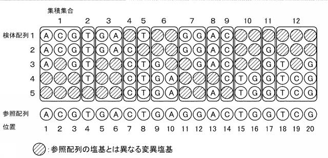 2020202810-集積集合データの製造装置、製造方法、プログラム、および記録媒体 図000007