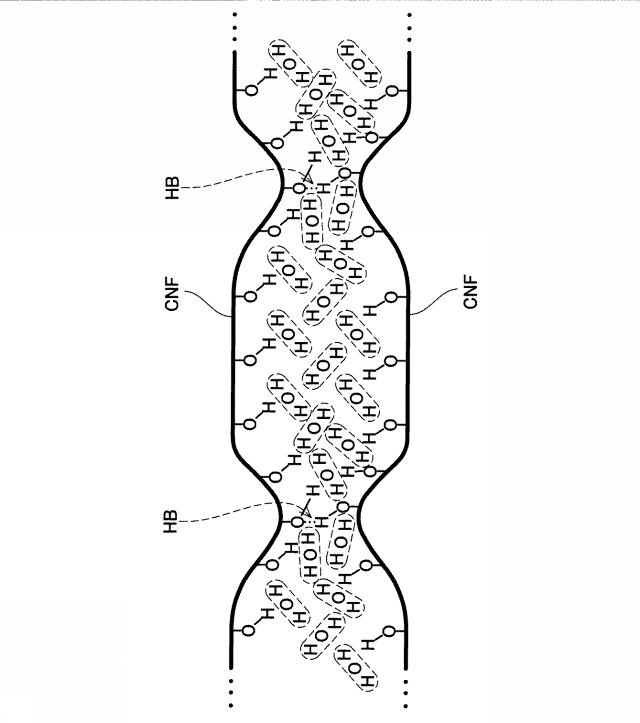 2021031800-セルロース多孔質体の製造装置およびセルロース多孔質体の製造方法 図000007