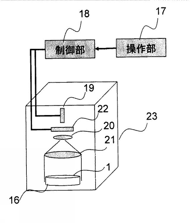 2016026471-細胞識別分離方法および細胞識別分離装置 図000008