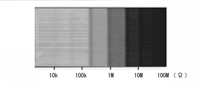 2016188817-広がり抵抗測定方法及び広がり抵抗顕微鏡 図000008