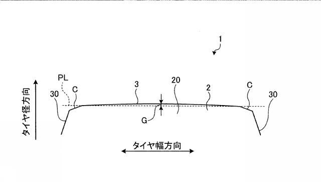 2017226313-空気入りタイヤ、タイヤ加硫成形金型及びタイヤ製造方法 図000008