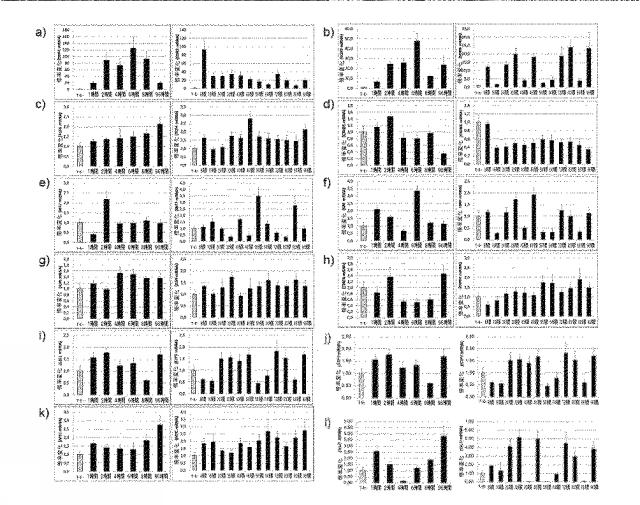 2019038847-創傷、特に慢性創傷の処置のための分子標的 図000008