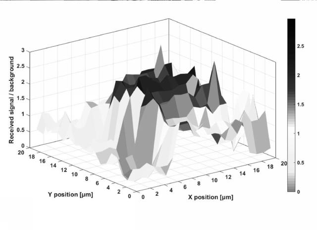 2019219453-調芯用光回路および光調芯方法 図000008