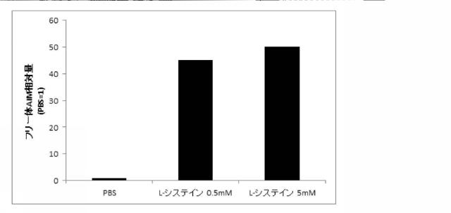 2021075545-血中フリー体ＡＩＭ増加用組成物 図000008