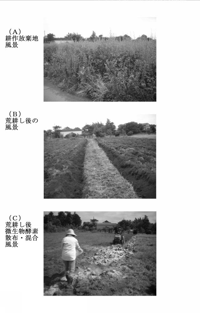 2016044088-堆肥の短期製造方法、耕作放棄地の短期農地化方法、汚染土壌の農地利用方法 図000009