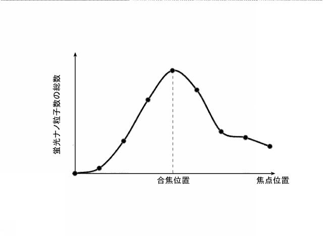 2016223931-蛍光画像の合焦システム、合焦方法および合焦プログラム 図000009