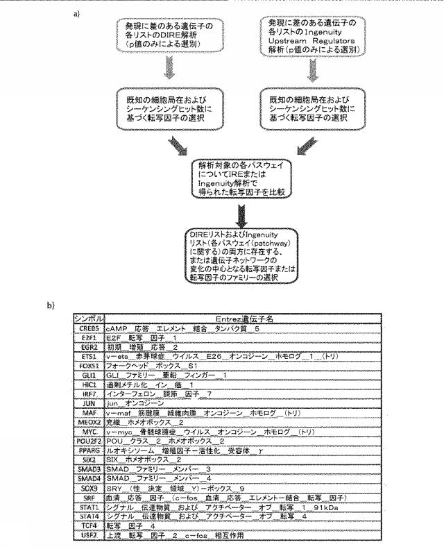 2019038847-創傷、特に慢性創傷の処置のための分子標的 図000009