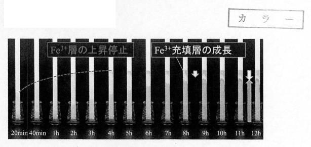 2020134499-疎水コロイドを用いた金属イオン濃度の簡易測定方法 図000009