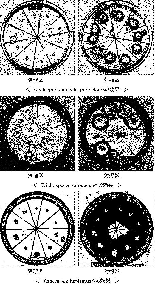 2016149963-抗菌能力および消臭能力を持つ微生物、ならびにそれを用いた抗菌剤、消臭剤、抗菌方法、消臭方法 図000010