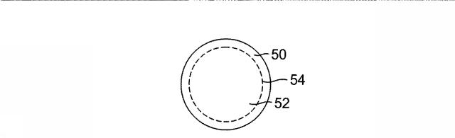 2017088241-二つのハンドル及び注ぎ口を備えた猫砂用容器 図000010